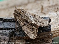 MJH_Dark-Arches_OM1-mz60mm-nl-15st_TBGKeep070624 v1