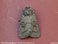 MJH_The-Uncertain_OM1-mz60mm-nl_TKeep210624 v1