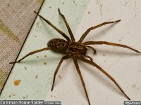 MJH_GHS_OM!-90mm14TC_Keep160324 v1