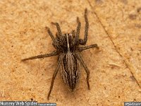 MJH_NWS_OM1-MZ9014TC_Keep160324 v1