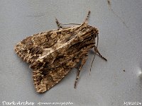 MJH_Dark-Arches_OM1-mz90mm-LED-16st_TBG270524 v1