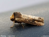 MJH_Flame_OM1-mz90mm-LED-35st_TBGKJeep270524 v1