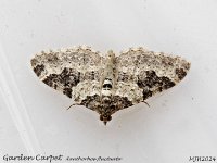 MJH_Garden-Carpet_OM1-mz90mm-LED-13st_TBGKeep270524 v1