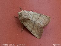 MJH_OM1-mz60mm-nl-12st_TBGKeep170524 v1