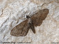 MJH_UNKN_OM1-mz60mm-nl-35st_TMest300524 v1