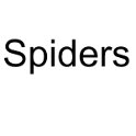 Spiders